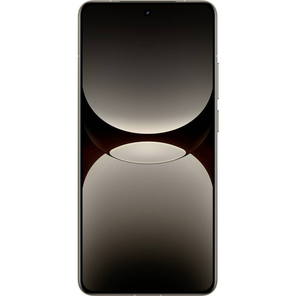 Realme GT 7 Pro Smartphone 256 GB 17.2 cm (6.78 inch) Grijs Android 15 Dual-SIM