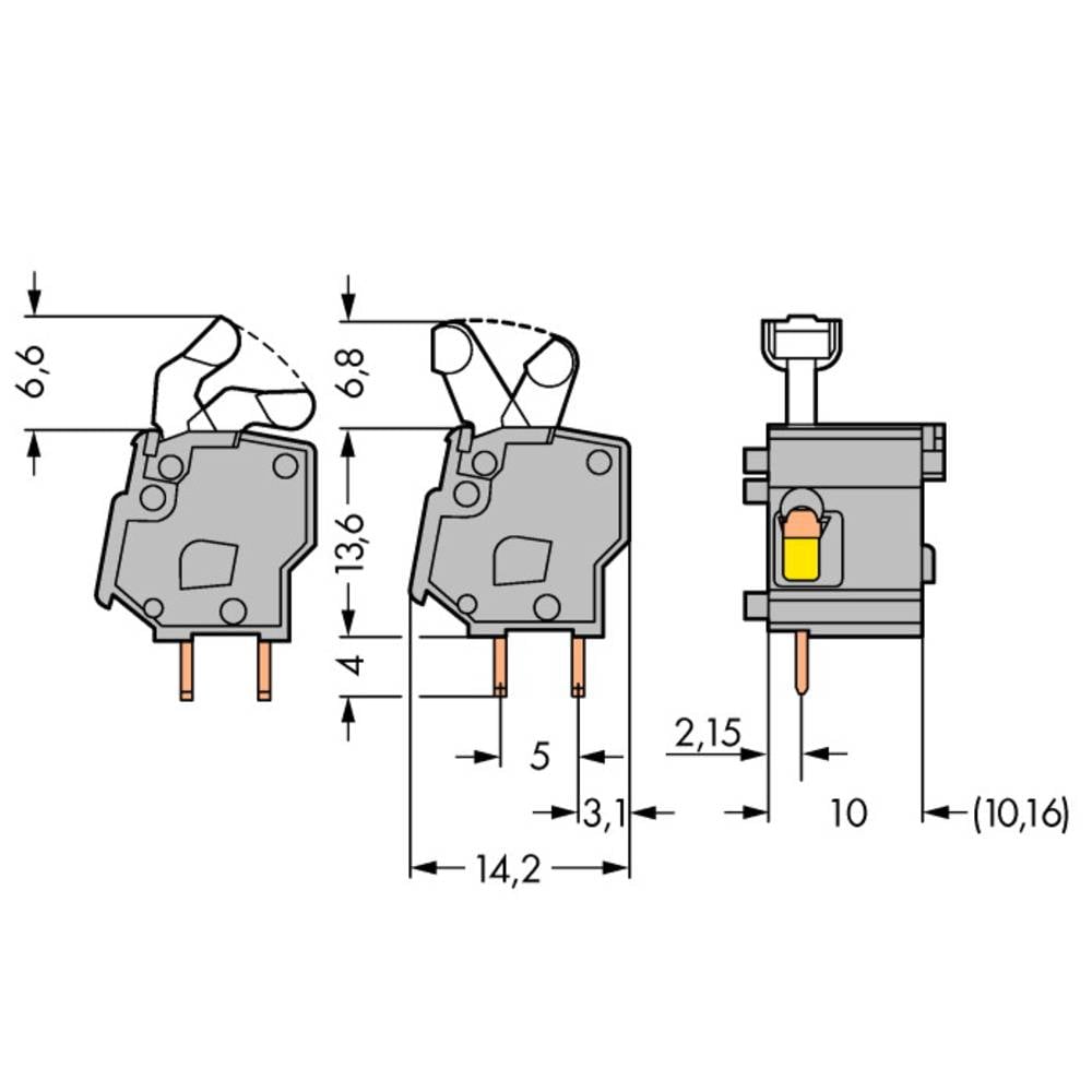 WAGO 257-862 Veerkrachtklemblok 2.50 mm² Aantal polen 1 Grijs 300 stuk(s)
