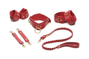 Bedroom Bliss XR Brands - Lover's Restraints Set - Rood