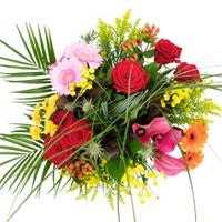 YourSurprise Blumen - Bunter Strauß (medium)