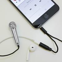 Kikkerland Mini karaoke microfoon voor smartphone