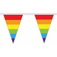 Fun & Feest Regenboog slinger met puntvlaggetjes 20 meter