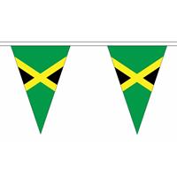 Fun & Feest Jamaica slinger met puntvlaggetjes 5 meter