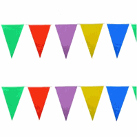 Gekleurde vlaggetjes 10 meter