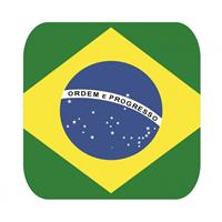 Shoppartners Bierviltjes Braziliaanse vlag vierkant 15 st
