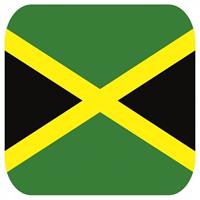 Shoppartners Bierviltjes Jamaicaanse vlag vierkant 15 st