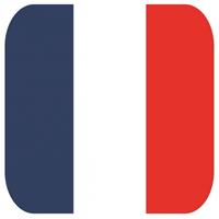 Shoppartners Bierviltjes Franse vlag vierkant 15 st