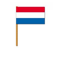 Oranje artikelen Nederlandse luxe zwaaivlag 30x45 cm