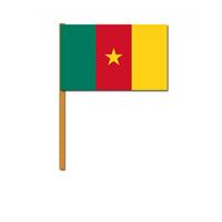 Bellatio Zwaaivlag Kameroen