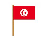 Bellatio Luxe zwaaivlag Tunesie