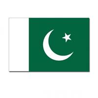 Bellatio Vlag Pakistan 90 x 150 cm