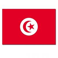Bellatio Vlag Tunesie 90 x 150 cm
