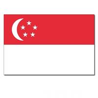 Bellatio Vlag Singapore 90 x 150 cm
