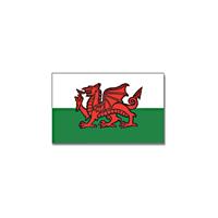 Bellatio Vlag Wales 90 x 150 cm