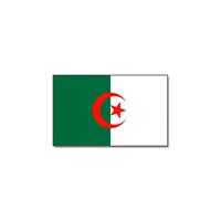 Bellatio Vlag Algerije 90 x 150 cm
