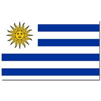 Bellatio Vlag Uruguay 90 x 150 cm