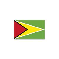 Bellatio Vlag Guyana 90 x 150
