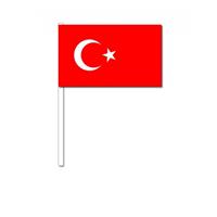 Bellatio Zwaaivlaggetjes Turkije 12 x 24 cm