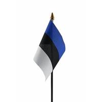 Bellatio Estland mini vlaggetje op stok 10 x 15 cm