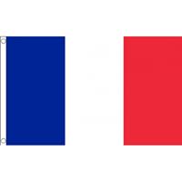Bellatio Mini vlag Frankrijk 60 x 90 cm