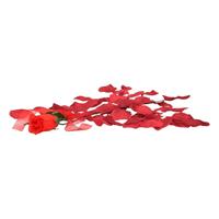 Bellatio Valentijnscadeau voordelige rode roos met bordeaux rozenblaadjes