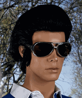 Elvis zonnebril The King