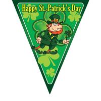 Vlaggenlijn St. Patricks Day Multi