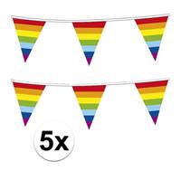 5x Regenboog vlaggenlijn Multi