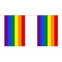 Vierkante regenboog vlaggenlijn 3 m Multi