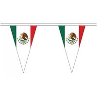 Mexico landen punt vlaggetjes 5 meter Multi