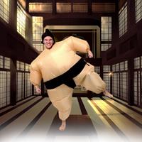 Funtime Sumo Wrestler Pak