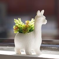 Kikkerland Bloempot Lloyd The Llama Planter - Wit