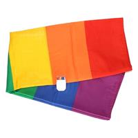 Regenboog vlag 90 x 150 cm met schmink stift Multi