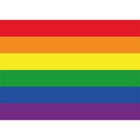 Shoppartners 10x Regenboog vlag / LGBT vlag sticker 7.5 x 10 cm Multi