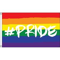 Regenboog LGBT vlag 90 x 150 cm hashtag pride Multi