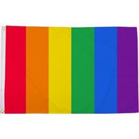 Regenboog LGBT vlag 90 x 150 cm verticale strepen Multi