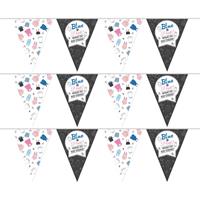 3x Vlaggenlijnen gender reveal party/feest slingers 10 meter Multi