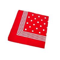 Rode boeren zakdoek met stippen Rood