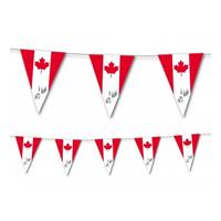 2x Canada vlaggenlijnen 3,5 meter Beige