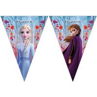 Disney Frozen 2 vlaggenlijn 2 meter Multi