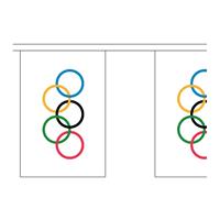2x Olympische vlaggenlijnen 9 meter Multi