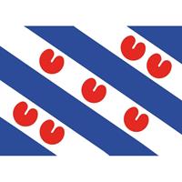 Shoppartners 15x Friesland vlag stickers 7.5 x 10 cm Multi