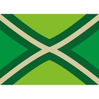 Bellatio 5x Achterhoekse vlag stickers 7.5 x 10 cm Groen