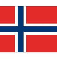 Bellatio 10x Vlag Noorwegen stickers 10 cm Multi