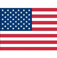 Bellatio 10x Vlag USA/Amerika stickers 10 cm Multi