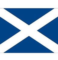 Bellatio 10x Vlag Schotland stickers 10 cm Multi