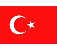 Bellatio 10x Vlag Turkije stickers 10 cm Multi