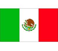 Bellatio 10x Vlag Mexico stickers 10 cm Multi