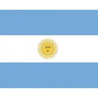 Bellatio 10x Vlag Argentinie stickers 10 cm Multi