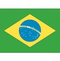 Bellatio 10x Vlag Brazilie stickers 10 cm Multi
